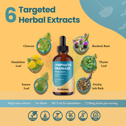 Lymphatic Drainage Herbal Drops - 90ml Liquid Extract for Lymphatic Support